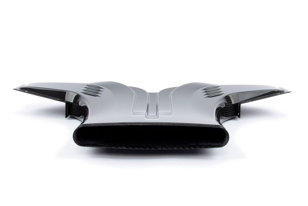 Dinan D760-0056 carbon fiber cold air intake