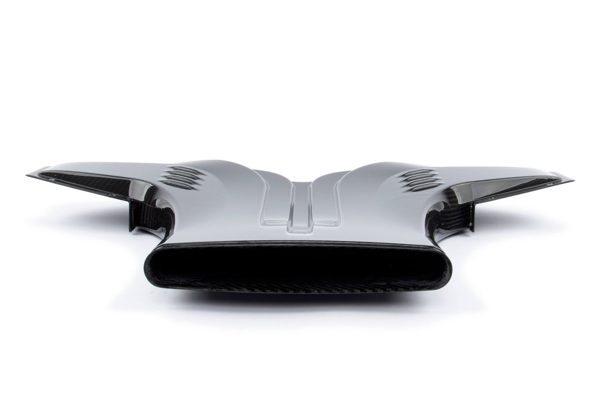 Dinan D760-0056 carbon fiber cold air intake