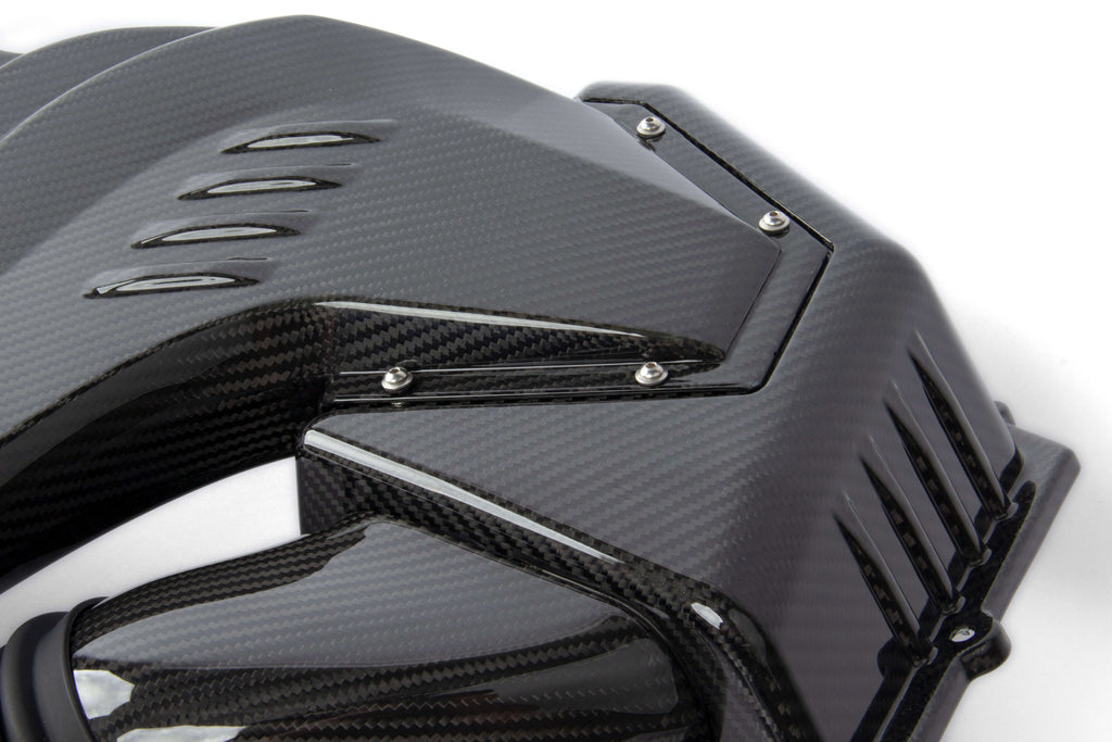 Dinan D760-0056 carbon fiber cold air intake