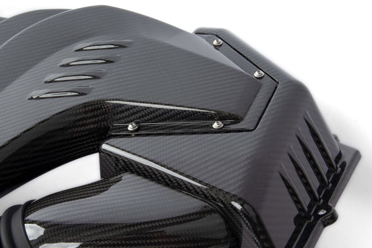 Dinan D760-0056 carbon fiber cold air intake