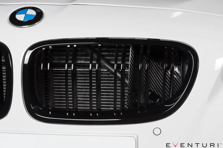 Eventuri Black Carbon Intake for BMW M5 (F10, S63) (view 3)